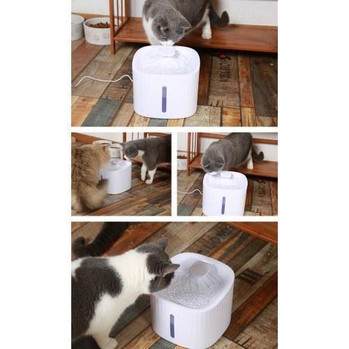 3L LED Water Dispenser for Pets - Clauve